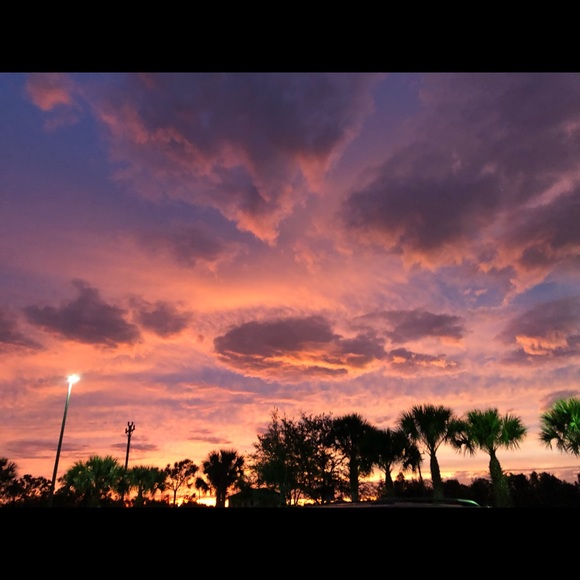 Meet your Posher, Katie - Picture 1 of 1